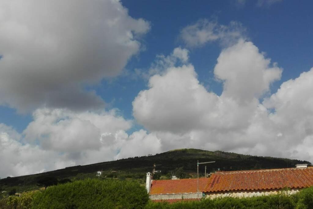 Villa - Torres Vedras, Lisbon Country Side Almeirinhos de Baixo Buitenkant foto